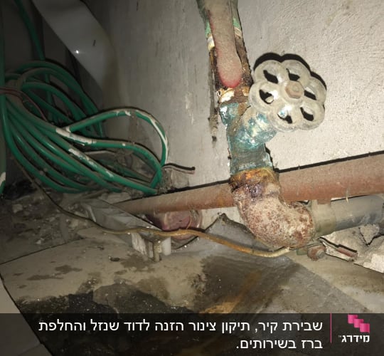 צינור חלוד עם ברז ישן וקווי מים ירוקים